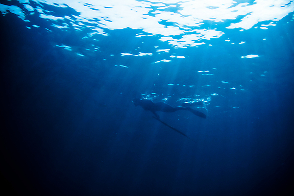 포토 JPG 해외이미지 라이프스타일 여자 실루엣 창 스포츠 바다 낚시 건강 가면 사람없음 물 운동 수중 잠수부 큼 다이빙 사냥 지느러미 암초 사냥꾼 해외202004 해외포토 자연요소 직업 무기 레저 촬영기법 사람 생활 수영 전문직 크기 수중스포츠 파일형식 이미지허브