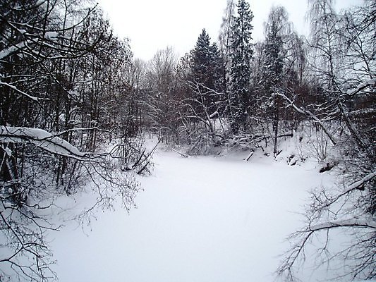 포토 JPG 해외이미지 나무 여행 겨울 사람없음 강 추위 나뭇가지 사인 쇼 해외202004 해외포토 식물 계절 파일형식 이미지허브