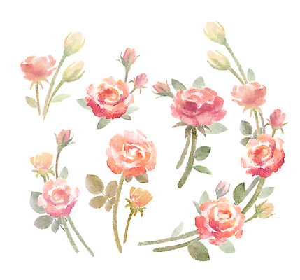 포토 JPG 해외이미지 클립아트 디자인 기념일 꽃 분홍색 꽃다발 결혼 꽃무늬 휴가 수채화 발렌타인데이 사람없음 장식 빨간색 세트 장미 새싹 축제 축하 생일 인쇄 작음 흰배경 잔치 엽서 초대 손그림 고립 구성 미니 엘리먼트 많음 어머니의날 해외202004 해외포토 식물 컬러 백그라운드 컨셉 무늬 데이이벤트 이벤트 흰색 크기 편지 미국문화 파일형식 이미지허브