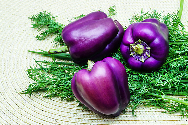 포토 JPG 해외이미지 계절 음식 컨셉 잎 농업 다이어트 채소 재료 자연 탁자 가지 양파 오이 프레임 건강 요리 사람없음 목재 빨간색 초록색 여름 상자 컬러풀 농장 세일 우주 상점 주방 저녁식사 침묵 당근 샐러드 젖음 흰색 신선 아침식사 상추 먹기 원예 양배추 지역 부추 후추 추수감사절 국산 유지 슈퍼마켓 내추럴 점심식사 딜 밭일 비트 숙성 주키니 채식주의자 총각무 회향 비건 해외202004 해외포토 나무 식물 산업 기독교 컬러 가구 모션 뿌리채소 취미 식사 소리 무 향신료 생태계 채식 파일형식 이미지허브