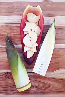 포토 JPG 해외이미지 조각 잎 단면 실내 사람없음 하이앵글 자르기 죽순 나무배경 해외202004 해외포토 식물 뷰포인트 백그라운드 모션 내부 파일형식 이미지허브