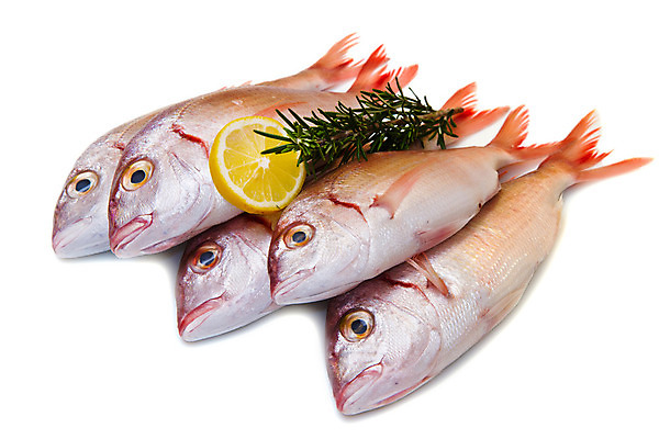 포토 JPG 해외이미지 사람없음 레몬 도미 로즈메리 해외202004 해외포토 과일 어류 허브 파일형식 이미지허브