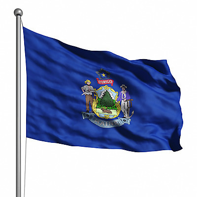 포토 JPG 해외이미지 배너 물결 클리핑패스 사람없음 컴퓨터그래픽 관광지 3D 미국 깃발 불기 심볼 신분 애국심 고립 랜드마크 해외202004 해외포토 여행 북아메리카 모션 그래픽 디지털합성 파일형식 이미지허브