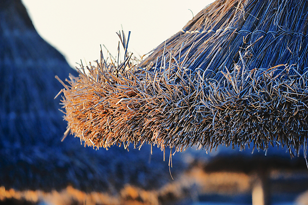 포토 JPG 해외이미지 바다 여행 잎 우산 자연 휴가 휴식 손바닥 그림자 해변 사람없음 야외 목재 여름 태양 스파 오두막 휴양지 양산 밀짚 내추럴 가림막 볏집 이국적 파라다이스 해외202004 해외포토 자연요소 나무 식물 손 계절 컨셉 재료 장소 짚 생태계 파일형식 이미지허브