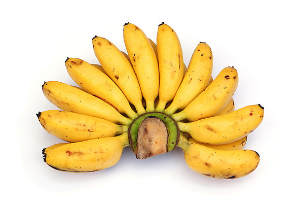 포토 JPG 해외이미지 라이프스타일 음식 백그라운드 농업 다이어트 채소 과일 재료 자연 바나나 건강 사람없음 노란색 활발 껍질 흰색 신선 그룹 달콤 맛 아침식사 다발 먹기 피부 오브젝트 상쾌 유기농 날것 칼로리 내추럴 강렬 고립 숙성 채식주의자 해외202004 해외포토 웰빙 감정 산업 컬러 컨셉 모션 생활 신체부위 식사 생태계 채식 파일형식 이미지허브