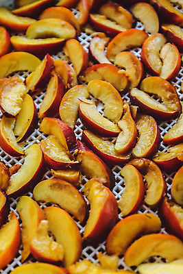 포토 JPG 해외이미지 스튜디오촬영 실내 사람없음 아웃포커스 복숭아 건과일 건조기 해외202004 해외포토 과일 건조 촬영기법 내부 기계 파일형식 이미지허브