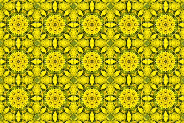 포토 JPG 해외이미지 디자인 꽃잎 꽃 백그라운드 꽃무늬 패턴 자연 추상 프레임 미술 사람없음 유행 거울 질감 대칭 만화경 해외202004 해외포토 식물 무늬 문화예술 장난감 생태계 파일형식 이미지허브