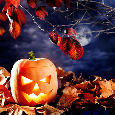 JPG 해외이미지 단풍 낙엽 호박 사람없음 할로윈 오브젝트 잭오랜턴 해외202004 해외포토 포토 잎 채소 파일형식 이미지허브