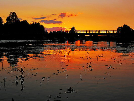 포토 JPG 해외이미지 나무 구름 계절 포스터 호수 파도 분홍색 백그라운드 지팡이 하늘 날씨 휴식 선물 사람없음 목재 가로 빨간색 물 여름 컴퓨터 강 햇빛 태양 어둠 침묵 일몰 안개 달력 광선 신용카드 변화 저녁 숲 아래 즐거움 그림 낚시꾼 진홍색 내일 전경 해외202004 해외포토 자연요소 식물 감정 바다 컬러 컨셉 재료 풍경 금융 전자제품 노을 소리 야간 방향 위치 파일형식 탑뷰 이미지허브