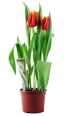 포토 JPG 해외이미지 나무 식물 꽃잎 꽃 종이 줄기 분홍색 꽃다발 백그라운드 컨셉 잎 돈 꽃무늬 비즈니스 자연 새로움 아이디어 3 선물 사람없음 빨간색 초록색 금융 노란색 머리 달러 봄 저축 튤립 성장 벚꽃 흰색 재산 다발 오브젝트 시작 투자 만들기 계산서 고립 세련 해외202004 해외포토 계절 컬러 무늬 모션 신체부위 경제 생태계 파일형식 이미지허브