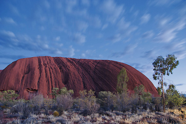 포토 JPG 해외이미지 나무 식물 실루엣 모래 여행 오렌지 자연 하늘 휴가 건조 풍경 사람없음 야외 빨간색 초록색 여름 파란색 컬러풀 태양 여행객 환경 봄 사막 뜨거움 황무지 호주 아래 언덕 영토 먼지 북쪽 고립 오지 수평선 해외202004 해외포토 자연요소 계절 컬러 과일 촬영기법 사람 오세아니아 방향 생태계 위치 파일형식 이미지허브