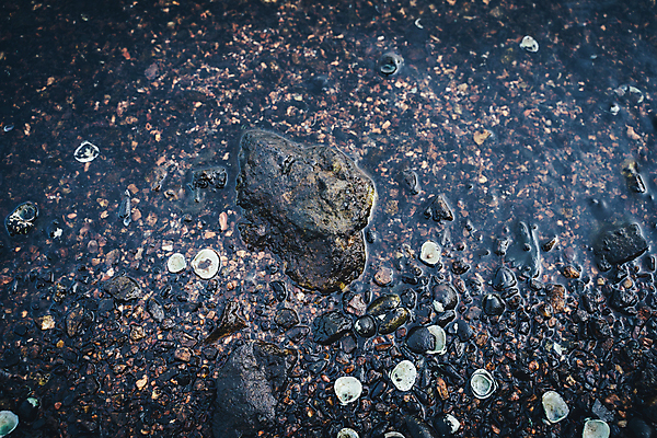 포토 JPG 해외이미지 모양 파도 바다 백그라운드 벽지 추상 새로움 사람없음 물 여름 빛 컬러풀 맑음 수중 일몰 조약돌 바위 서핑 가장자리 매끈함 소프트포커스 작음 큼 땅 질감 보케 모자이크 흙더미 대각선 땅바닥 블러 지질학 카피스페이스 해외202004 해외포토 자연요소 계절 교육 선 컬러 컨셉 무늬 날씨 바닥 촬영기법 노을 흙 공백 돌_바위 수상스포츠 감각 둘레 크기 파일형식 더미 이미지허브