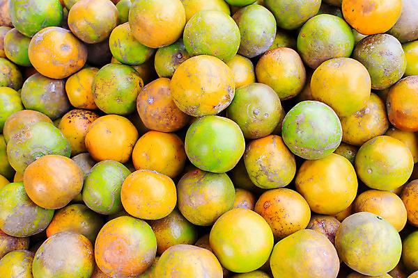 포토 JPG 해외이미지 계절 산업 음식 백그라운드 잎 농업 다이어트 오렌지 과일 자연 탁자 귤 건강 씨앗 사람없음 초록색 여름 파란색 컬러풀 농장 노란색 쌓기 상점 주스 봄 흰색 직물 신선 원형 시장 달콤 맛 아침식사 다발 먹기 가득함 피부 유기농 내추럴 숙성 채식주의자 많음 해외202004 해외포토 도형 식물 웰빙 음료 컬러 가구 컨셉 모션 신체부위 식사 생태계 채식 파일형식 이미지허브