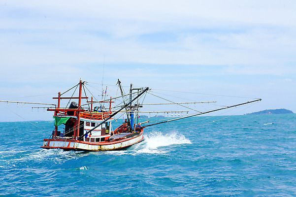 포토 JPG 해외이미지 실루엣 산업 바다 섬 여행 교통시설 태국 자연 하늘 낚시 항해 어류 풍경 사람없음 야외 물 여름 파란색 빛 평화 일출 항구 맑음 황혼 일몰 흰색 만 어선 보트 함선 상업 장면 낚시꾼 수평선 해외202004 해외포토 자연요소 계절 아시아 컬러 교통 컨셉 배_교통 레저 날씨 촬영기법 노을 수중동물 시설 생태계 파일형식 이미지허브