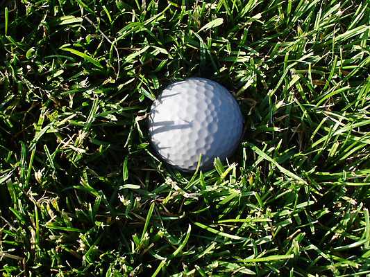 포토 JPG 해외이미지 직업 스포츠 백그라운드 골프 공 자연 놀이 휴가 잔디 사람없음 야외 초록색 여름 운동 경쟁 장비 게임 흰색 닫기 강의 묘사 오브젝트 클럽 휴양지 슛 내추럴 해외202004 해외포토 식물 계절 컬러 컨셉 모션 건강 구기 장소 생태계 파일형식 이미지허브