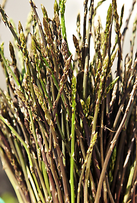 포토 JPG 해외이미지 계절 음식 다이어트 채소 재료 건강 요리 사람없음 초록색 저녁식사 봄 신선 맛 지중해 유기농 아스파라거스 해외202004 해외포토 웰빙 바다 컬러 컨셉 식사 파일형식 이미지허브