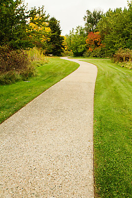 포토 JPG 해외이미지 나무 라이프스타일 공원 길 여행 백그라운드 잎 곡선 장난 자국 모션 자연 풍경 사람없음 야외 컬러풀 환경 침묵 산책 탐험 황무지 숲 오솔길 호기심 발견 내추럴 삼림지대 해외202004 해외포토 식물 공공시설 감정 선 컬러 컨셉 휴식 생활 소리 생태계 파일형식 이미지허브