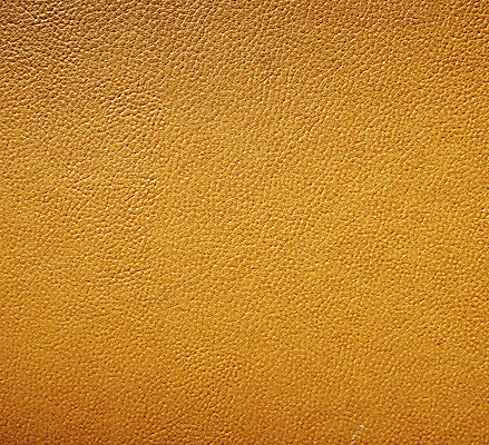 포토 JPG 해외이미지 동물 야생동물 조각 백그라운드 패턴 파충류 아프리카 자연 추상 저울 사람없음 컬러풀 갈색 노란색 유행 핸드백 직물 독약 거친 뱀 균열 고급 닫기 보호 가죽 열대우림 묘사 질감 육식동물 동물상 오싹 해외202004 해외포토 나라 컬러 컨셉 무늬 가방 모션 조형물 숲 생태계 파일형식 이미지허브