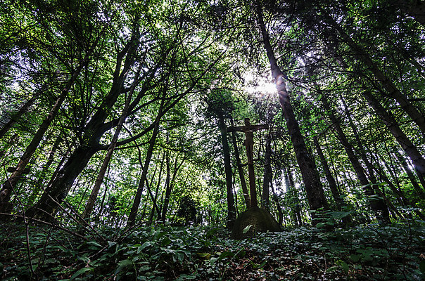 포토 JPG 해외이미지 꽃 기독교 종교 지구 백그라운드 십자가 부활절 사람없음 목재 조각상 검은색 성경 바위 기도 죽음 예수 영혼 목사 심볼 애도 신성 땅파기 신앙심 옛날 장례식 오싹 해외202004 해외포토 나무 식물 기념일 컬러 재료 종교용품 조형물 신_종교 성직자 파일형식 이미지허브