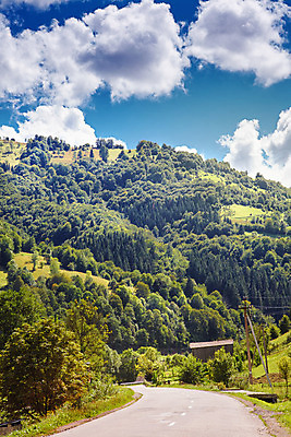 포토 JPG 해외이미지 나무 구름 계절 유럽 여행 백그라운드 밭 자연 하늘 휴가 산 풍경 사람없음 야외 초록색 여름 파란색 컬러풀 마을 봄 시골 숲 언덕 폴란드 옛날 해외202004 해외포토 자연요소 식물 나라 컬러 농업 생태계 파일형식 이미지허브
