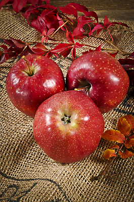 포토 JPG 해외이미지 식물 접시 계절 음식 조각 백그라운드 잎 다이어트 채소 과일 자연 양파 디저트 건강 사람없음 빨간색 초록색 빛 컬러풀 노란색 정원 식사 가을 신선 달콤 아침식사 사과 혼합 먹기 오브젝트 섞기 해외202004 해외포토 식기 컬러 모션 맛 생태계 파일형식 이미지허브