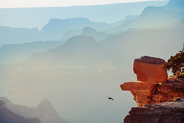 포토 JPG 해외이미지 공원 지구 여행 자연 산 건조 풍경 사람없음 야외 햇빛 평화 골짜기 미국 하이킹 사막 바위 신비 부식 좁은 침식 내추럴 감탄 이국적 전국 지질학 특별함 해외202004 해외포토 공공시설 교육 컨셉 북아메리카 레저 태양 돌_바위 생태계 파일형식 이미지허브
