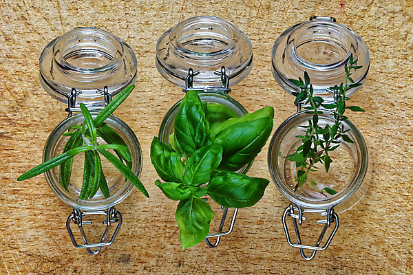 포토 JPG 해외이미지 식물 백그라운드 잎 재료 자연 유리 건강 요리 사람없음 목재 치료 초록색 약 주방 신선 양념 수집 허브 향신료 유기농 향 아로마테라피 바질 로즈메리 내추럴 백리향 해외202004 해외포토 나무 웰빙 컬러 의학 재질 생태계 테라피 향미료 파일형식 이미지허브