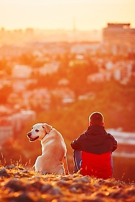 포토 JPG 해외이미지 동물 라이프스타일 응시 행복 생각 아침 휴식 함께함 한명 사람 앉기 세로 빛 반려동물 햇빛 일출 침묵 일몰 놀람 새벽 우정 광선 도시 개 저녁 손목시계 동료 언덕 체코 프라하 스카이라인 송곳니 동반자 충실 몽환 해외202004 해외포토 주간 자연요소 1 시선 감정 유럽 시계 컨셉 장신구 포유류 관계 모션 표정 생활 친구 태양 노을 소리 치아 야간 파일형식 이미지허브