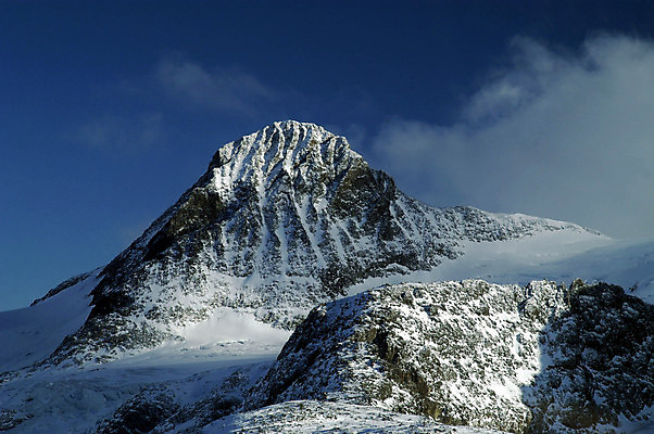포토 JPG 해외이미지 나무 구름 여행 자연 산 풍경 사람없음 야외 하이킹 휘파람 가리발디 해외202004 해외포토 자연요소 식물 레저 생태계 위인 정치가 파일형식 이미지허브