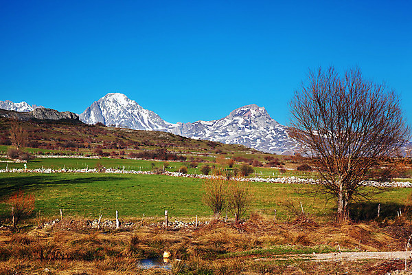 포토 JPG 해외이미지 자연 하늘 산 풍경 사람없음 얼음 봄 가을 순수 생존 해외202004 해외포토 자연요소 계절 컨셉 생태계 파일형식 이미지허브