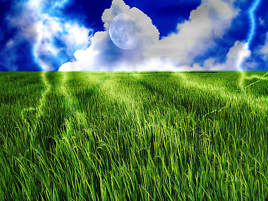 포토 JPG 해외이미지 식물 구름 계절 꽃 백그라운드 밭 자연 하늘 아침 날씨 파노라마 풍경 사람없음 야외 가로 초록색 여름 파란색 햇빛 침묵 봄 활발 흰색 신선 언덕 장면 무한 평야 호밀 해외202004 해외포토 주간 자연요소 컬러 컨셉 농업 곡류 촬영기법 태양 소리 생태계 파일형식 이미지허브