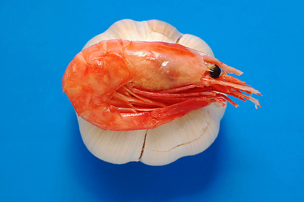 포토 JPG 해외이미지 라이프스타일 접시 문화 음식 바다 조각 백그라운드 다이어트 채소 자연 양파 조개 새우 건강 마늘 요리 사람없음 약 주방 식당 요리사 식사 저녁식사 이탈리아 껍질 신선 먹기 해산물 향신료 유기농 올리브 홍합 성분 점심식사 고립 채식주의자 해외202004 해외포토 직업 식기 웰빙 열매 유럽 의학 모션 어패류 갑각류 생활 상점 생태계 채식 향미료 파일형식 이미지허브