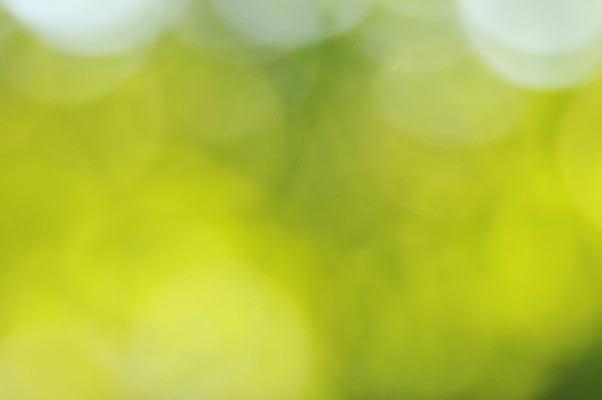 포토 JPG 해외이미지 백그라운드 자연 추상 건강 사람없음 초록색 여름 노란색 부드러움 해외202004 해외포토 계절 컬러 무늬 감각 생태계 파일형식 이미지허브