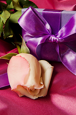 포토 JPG 해외이미지 식물 기념일 꽃 리본 분홍색 엄마 기념 발렌타인데이 선물 사랑 이벤트 사람없음 장식 파란색 상자 장미 놀람 덮개 흰색 하트 축하 생일 심볼 묘사 주기 감사 기회 라일락 해외202004 해외포토 모양 감정 컬러 컨셉 가족 모션 데이이벤트 표정 뚜껑 파일형식 이미지허브