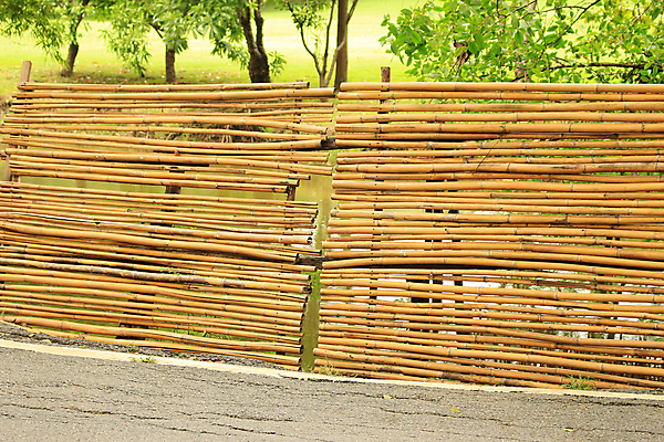 포토 JPG 해외이미지 나무 식물 전통 아시아 문화 선 벽 백그라운드 패턴 자연 동양인 사람없음 목재 장식 울타리 갈색 노란색 정원 일본 중국 성장 나뭇가지 원형 막대기 끝 숲 다발 묶기 대나무 보따리 유기농 원예 질감 정사각형 나무껍질 내추럴 그런지 옛날 직진 해외202004 해외포토 도형 웰빙 나라 컬러 무늬 재료 모션 인종 취미 담장 껍질 생태계 파일형식 이미지허브