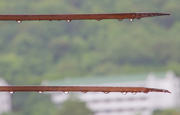 포토 JPG 해외이미지 백그라운드 자연 날씨 추상 사람없음 물 물방울 떨어짐 빗방울 질감 해외202004 해외포토 자연요소 컨셉 무늬 비_날씨 생태계 파일형식 이미지허브