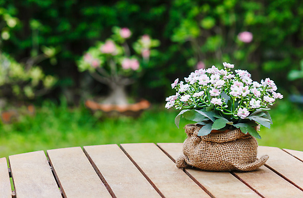 포토 JPG 해외이미지 나무 꽃 꽃다발 백그라운드 가방 탁자 휴식 사람없음 목재 갈색 정원 꽃병 카페 기쁨 추위 신선 냄비 냄새 자루 내추럴 블러 안락 해외202004 해외포토 식물 잡화 감정 컬러 가구 컨셉 재료 상점 솥 파일형식 이미지허브