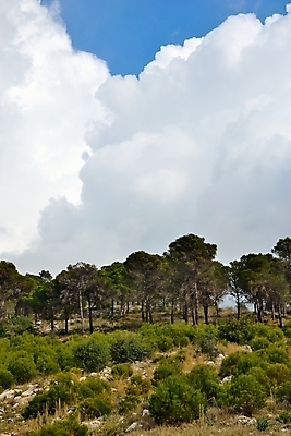 포토 JPG 해외이미지 나무 구름 하늘 산 사람없음 야외 초록색 계곡 스페인 숲 언덕 슬로프 내추럴 해외202004 해외포토 자연요소 식물 유럽 컬러 스키장 파일형식 이미지허브
