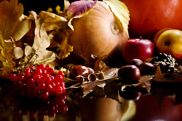 포토 JPG 해외이미지 전통 계절 꽃 음식 잎 과일 자연 호박 검은배경 휴가 건강 씨앗 사람없음 식사 수확 가을 축하 떨어짐 사과 11월 먹기 박 성분 추수감사절 10월 포상금 많음 해외202004 해외포토 식물 기독교 백그라운드 컨셉 돈 농업 채소 모션 검은색 날짜 생태계 파일형식 이미지허브