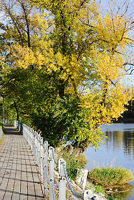 포토 JPG 해외이미지 나무 계절 유럽 길 자연 사람없음 초록색 강 노란색 가을 보행로 체코 프라하 방법 해외202004 해외포토 식물 나라 컬러 생태계 파일형식 이미지허브