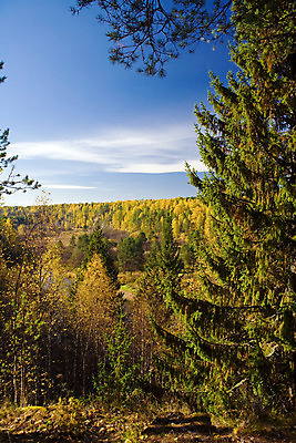 포토 JPG 해외이미지 나무 식물 계절 공원 길 잎 오렌지 자연 하늘 아침 풍경 사람없음 야외 목재 빨간색 초록색 파란색 강 컬러풀 반사 노란색 평화 걷기 환경 하이킹 가을 황금 숲 장면 10월 삼림지대 해외202004 해외포토 주간 공공시설 컬러 컨셉 과일 재료 모션 레저 날짜 생태계 파일형식 이미지허브