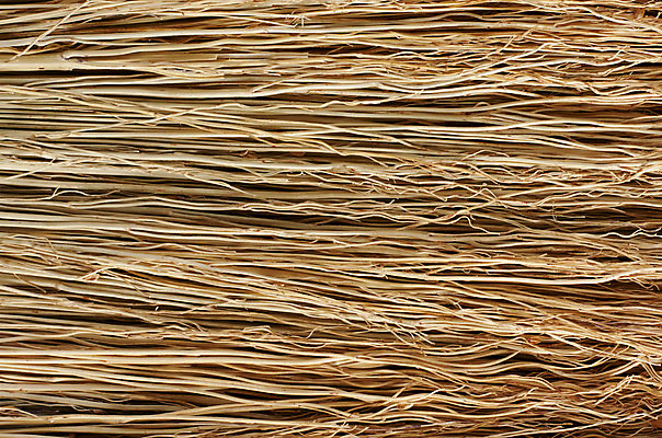 포토 JPG 해외이미지 나무 백그라운드 컨셉 패턴 자연 추상 아이디어 사람없음 목재 가로 갈색 장비 나뭇가지 붓 빗자루 질감 밀짚 복잡 효과 해외202004 해외포토 식물 컬러 무늬 재료 짚 청소도구 생태계 파일형식 이미지허브