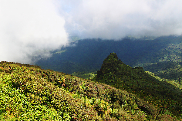 포토 JPG 해외이미지 구름 자연 휴가 산 풍경 사람없음 환경 미국 침묵 안개 가을 황무지 숲 큼 열대우림 서식지 전국 절정 파라다이스 해외202004 해외포토 자연요소 계절 북아메리카 날씨 소리 크기 생태계 파일형식 이미지허브