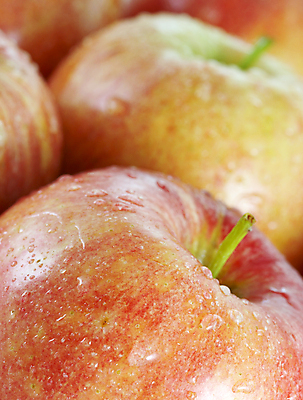 포토 JPG 해외이미지 음식 농업 다이어트 과일 자연 건강 사람없음 빨간색 물 축제 젖음 수확 신선 달콤 사과 과수원 유기농 숙성 해외202004 해외포토 자연요소 웰빙 산업 컬러 맛 생태계 파일형식 이미지허브