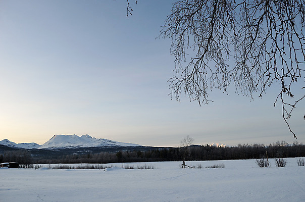 포토 JPG 해외이미지 나무 계절 조각 겨울 밭 자연 하늘 날씨 산 요정 파노라마 풍경 사람없음 야외 컬러풀 햇빛 태양 평화 환경 냉동 얼음 추위 백발 흰색 나뭇가지 원형 눈송이 황무지 정상 숲 시원함 땅 북극 서리 장면 공상 자작나무 눈보라 내추럴 깊이 폭설 눈내림 해외202004 해외포토 자연요소 도형 식물 헤어스타일 컬러 컨셉 농업 눈_날씨 촬영기법 자연재해 극지방 생태계 파일형식 이미지허브