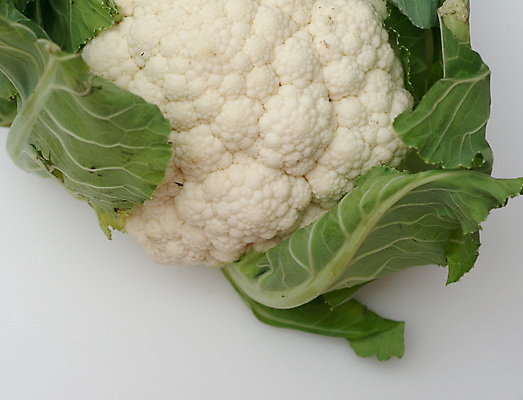 포토 JPG 해외이미지 음식 다이어트 토마토 채소 재료 자연 건강 사람없음 초록색 신선 먹기 유기농 날것 건강식 내추럴 숙성 해외202004 해외포토 웰빙 컬러 모션 생태계 파일형식 이미지허브