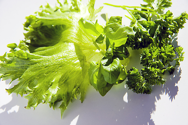 포토 JPG 해외이미지 라이프스타일 접시 음식 백그라운드 다이어트 채소 탁자 건강 사람없음 초록색 빛 식당 식사 저녁식사 샐러드 흰색 신선 상추 유기농 내추럴 점심식사 고립 저지방 채식주의자 해외202004 해외포토 식기 웰빙 컬러 가구 생활 상점 기름_음식 채식 파일형식 이미지허브