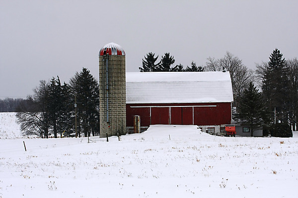 포토 JPG 해외이미지 나무 구름 벽 잎 농업 건축양식 창문 자연 하늘 날씨 풍경 사람없음 야외 건물 목재 빨간색 초록색 여름 파란색 컬러풀 농장 농경지 갈색 문 흰색 시골 역사 널 주식 대문 헛간 밭일 옛날 해외202004 해외포토 자연요소 식물 건축물 계절 건축 산업 컬러 재료 금융 생태계 저장고 파일형식 이미지허브