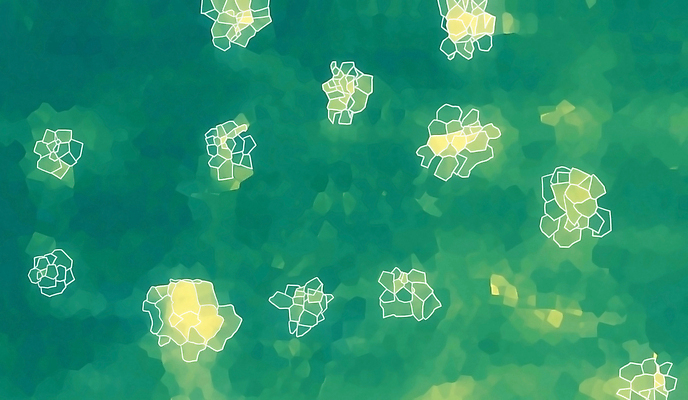 포토 JPG 해외이미지 디자인 꽃 종이 백그라운드 패턴 추상 친절 새로움 아이디어 미술 사람없음 그래픽 초록색 빛 노란색 우주 디지털 화목 침묵 신선 분위기 볼륨 소프트포커스 편안함 그림 질감 순환 부드러움 내추럴 구김 블러 터키석 특별함 흥미 스타일 효과 해외202004 해외포토 식물 컬러 컨셉 무늬 모션 문화예술 촬영기법 소리 감각 보석 파일형식 이미지허브