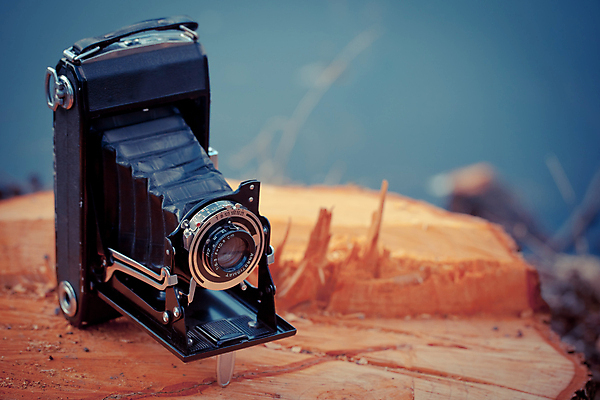 포토 JPG 해외이미지 디자인 백그라운드 사람없음 수확 필름 오브젝트 복고 셔터 스타일 해외202004 해외포토 농업 파일형식 이미지허브